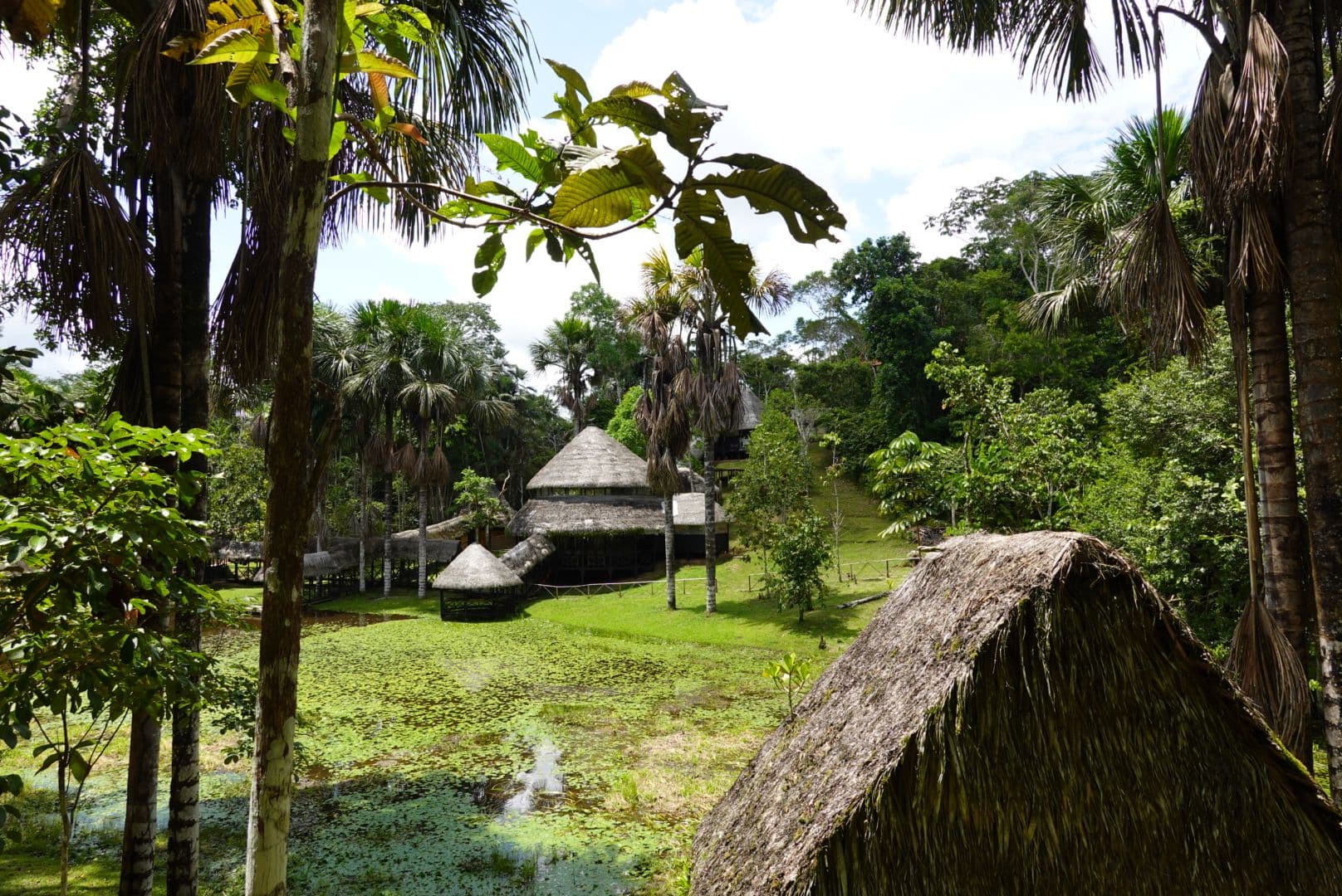 An overview of Dreamglade — thatched structures beside the lake, surrounded by Amazon rainforest
