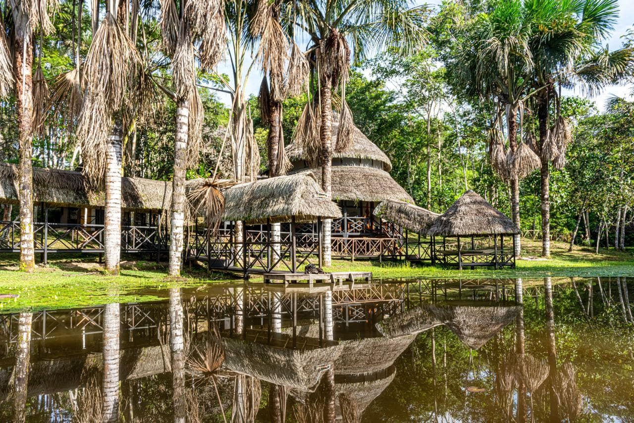 The communal big house at Dreamglade, with thatched roof and palm surroundings