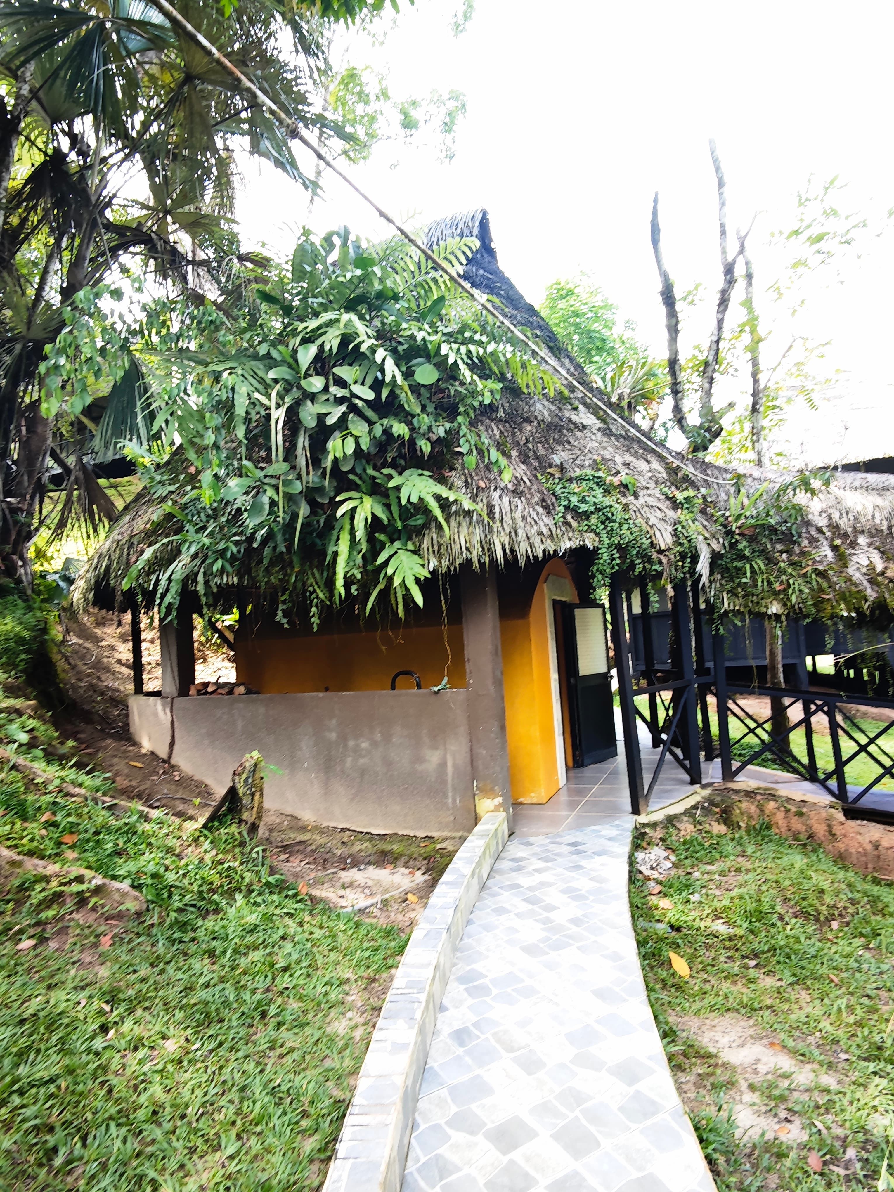 The sauna at Dreamglade, built of natural wood beside the trees