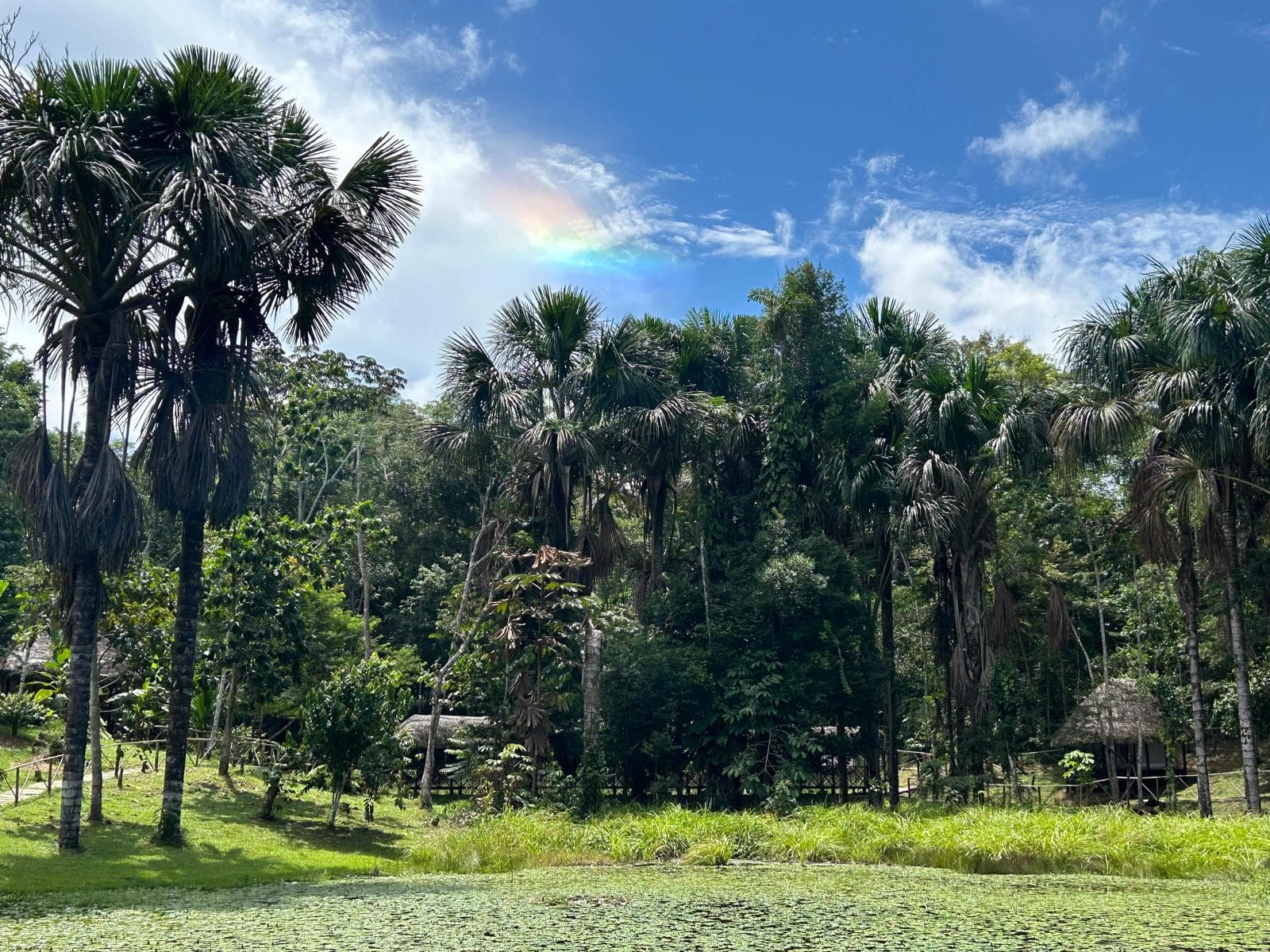 Lake at Dreamglade