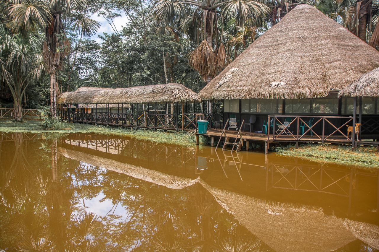 Retreat grounds at Dreamglade