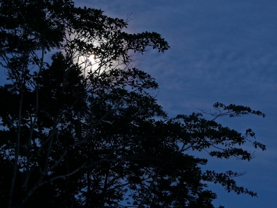 P1000174