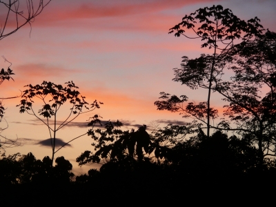 P1010550